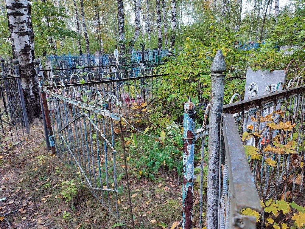 Швецова Татьяна Дмитриевна