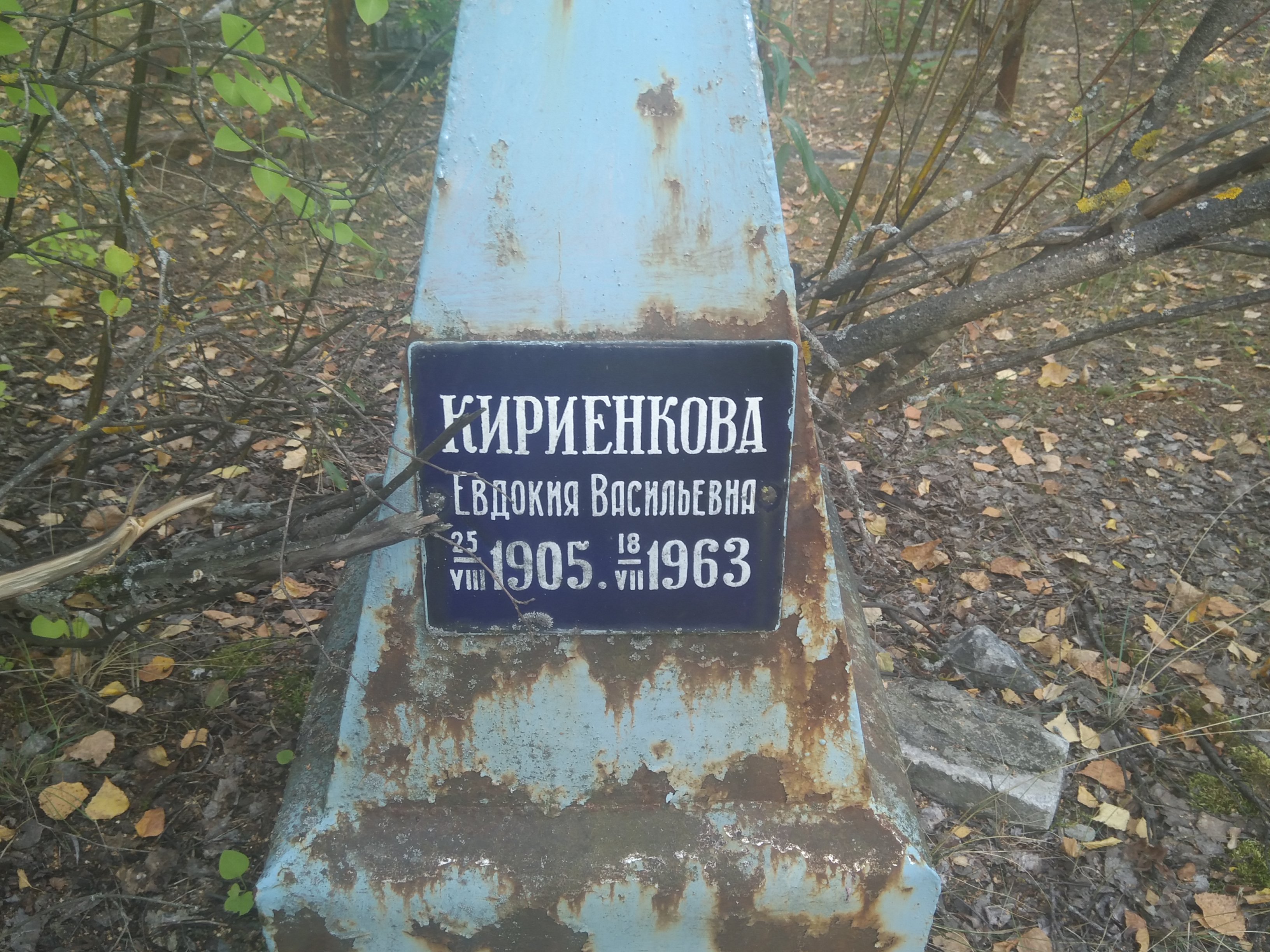 Кириенкова Евдокия Васильевна