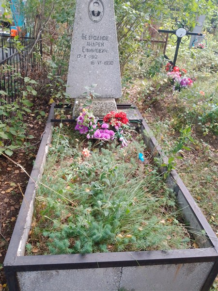 Безроднов Андрей Ефимович