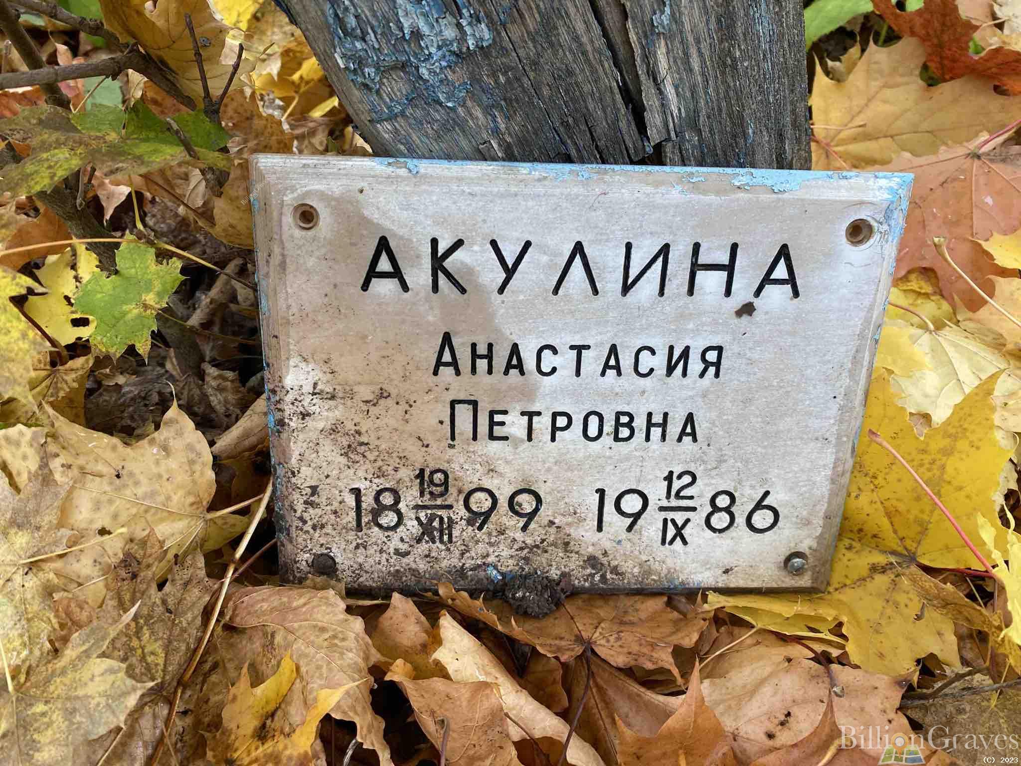 Акулина Анастасия Петровна