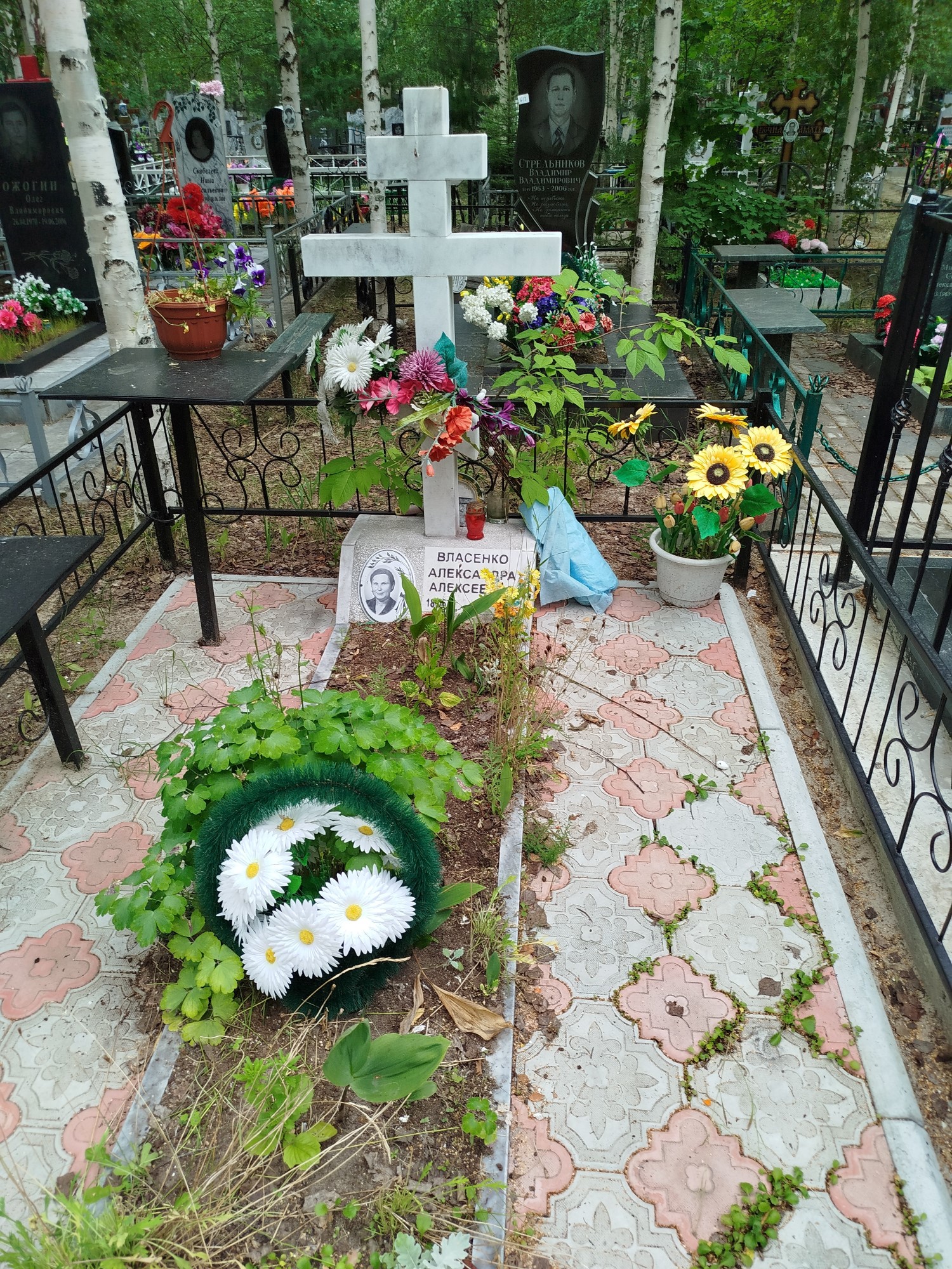 Власенко Александра Алексеевна