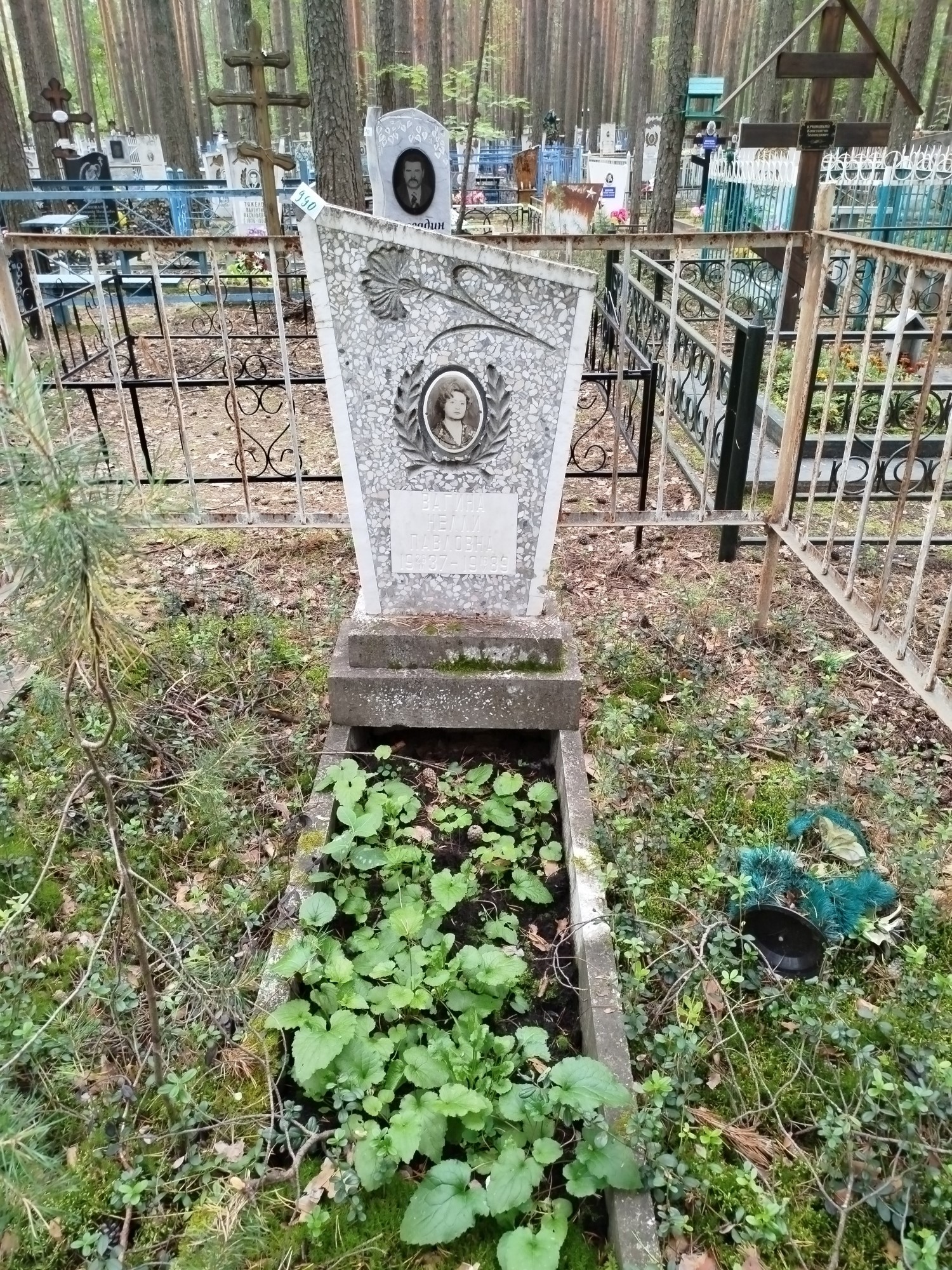 Вагина Нелли Павловна