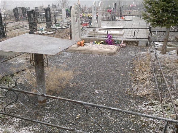 Турская Ольга Егоровна