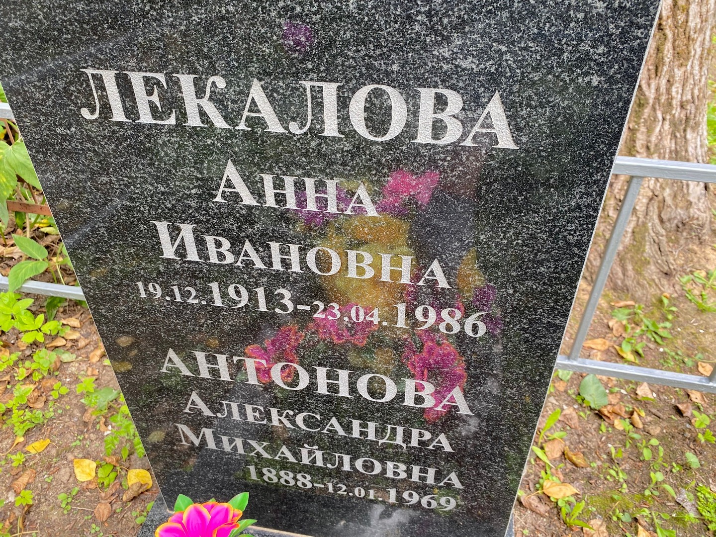 Лекалова