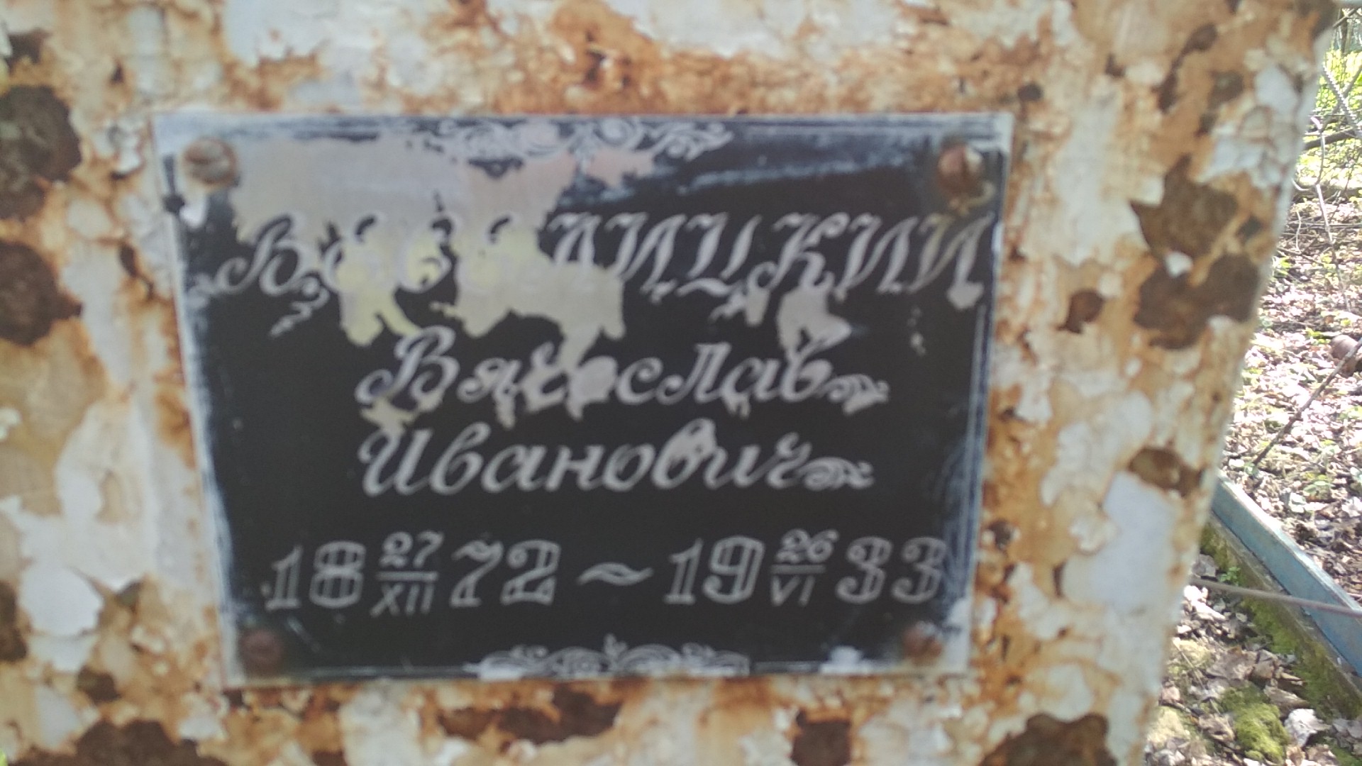 Веселицкий Вячеслав Иванович