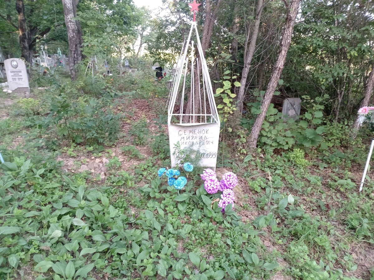 Семенок Михаил Николаевич