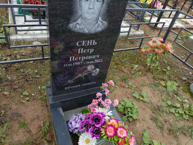 Сень