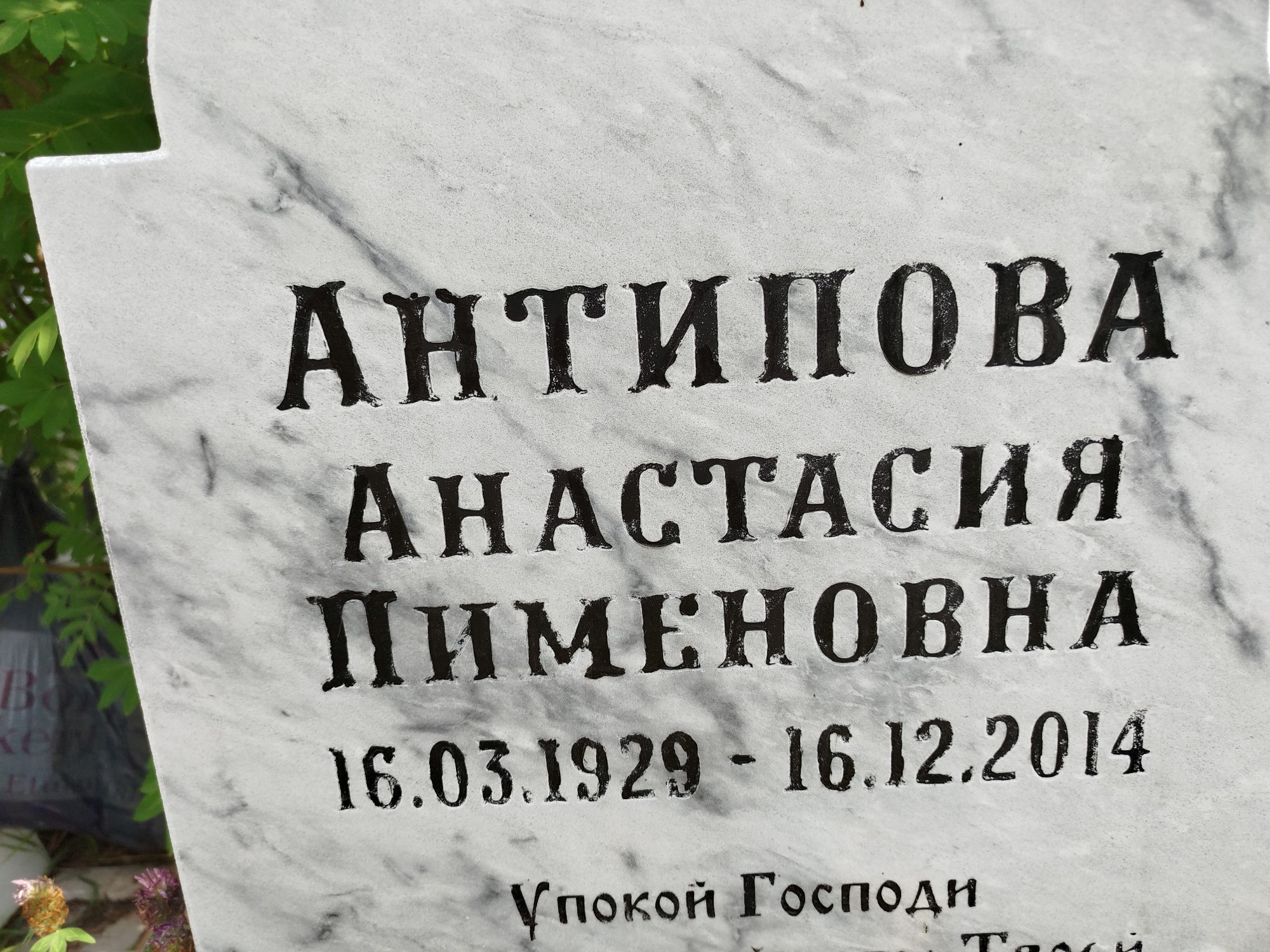 Антипова Анастасия Пименовна