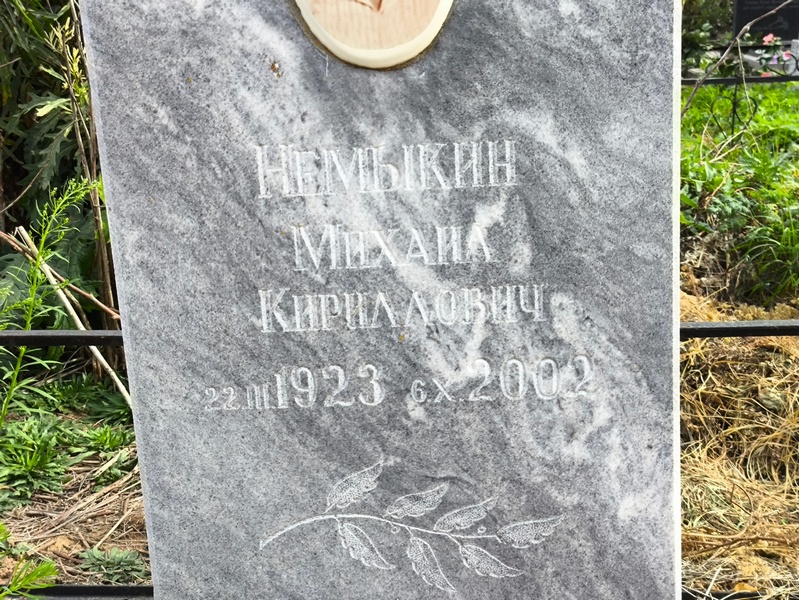 Немыкин