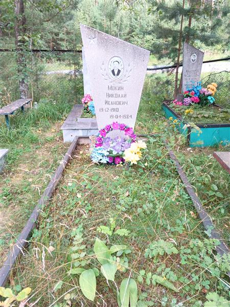 Мокин Николай Иванович