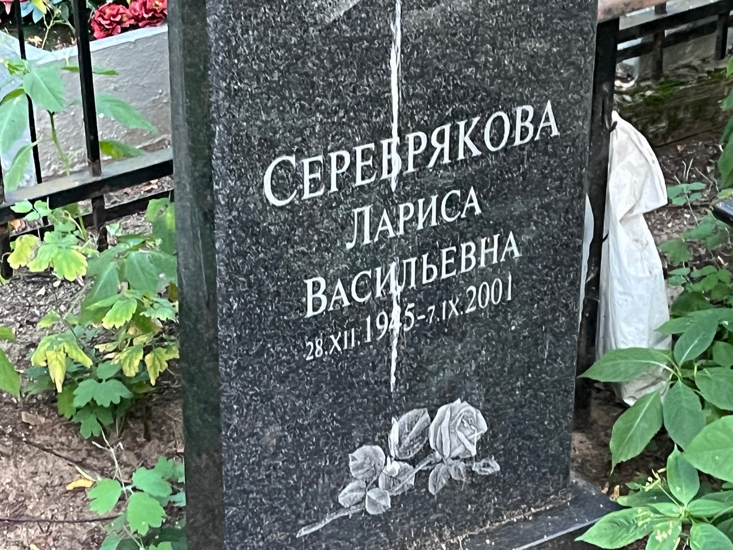 Серебрякова