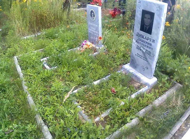 Дикарев Дмитрий Ананьевич