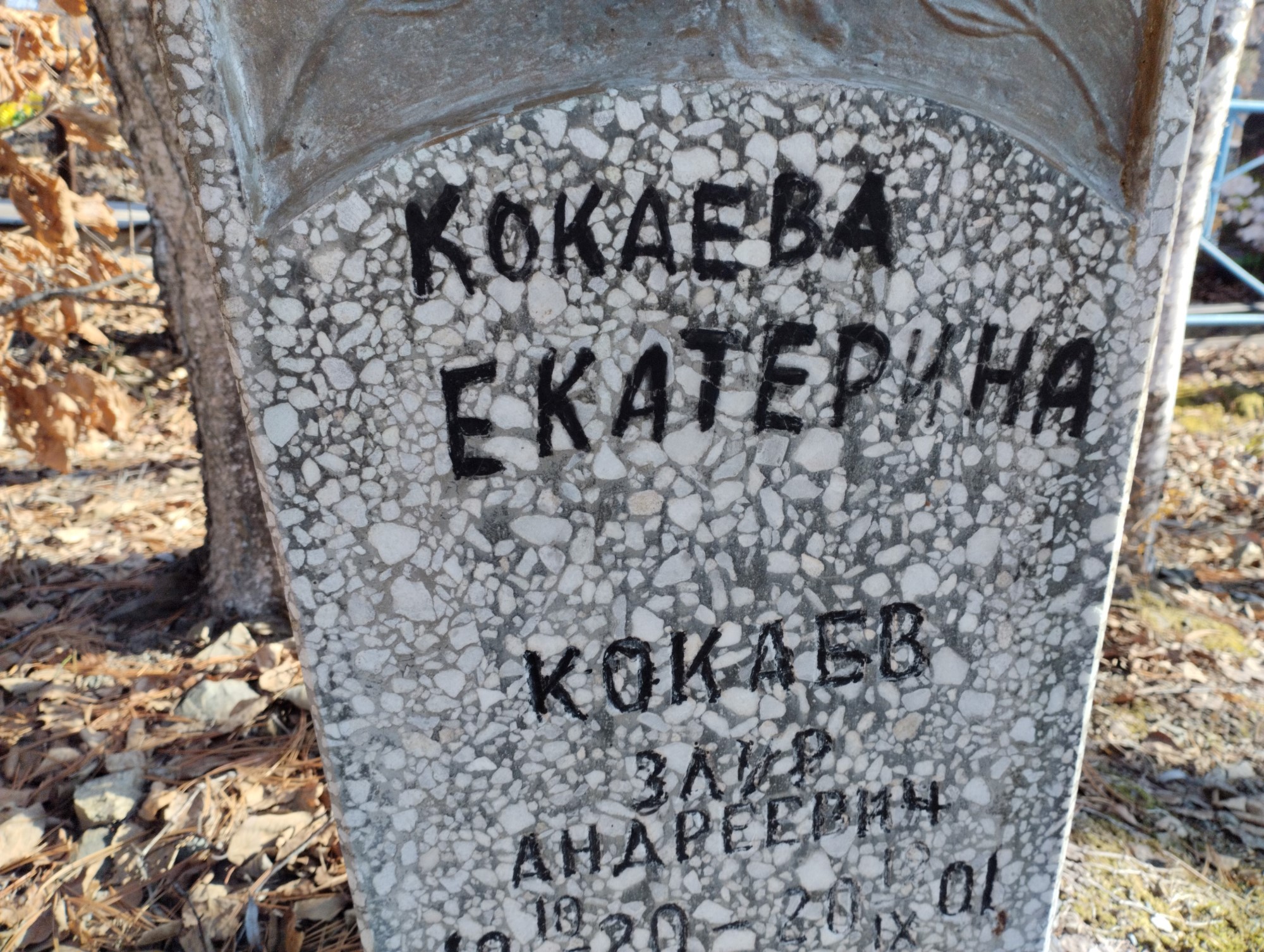 Кокаев Заир Андреевич
