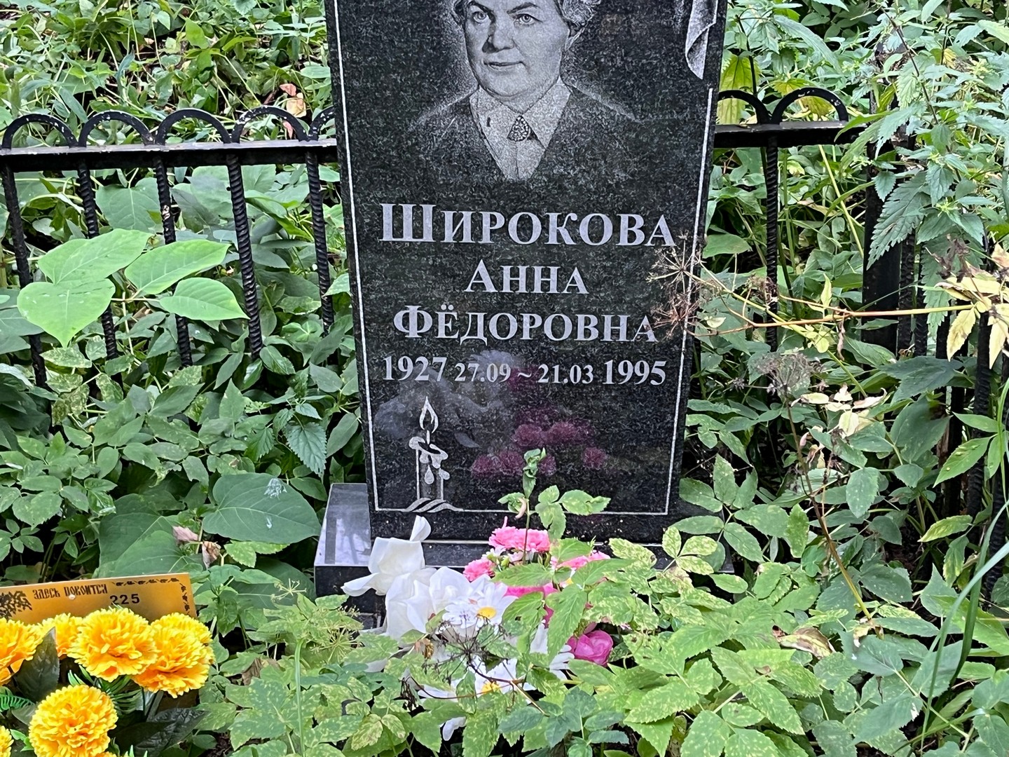 Широкова