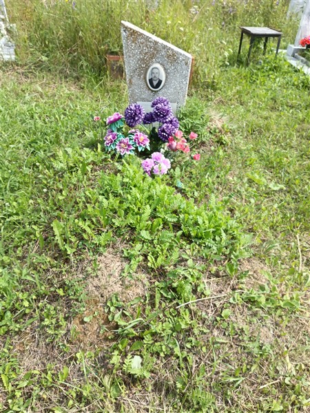 Стрельников Алексей Семенович