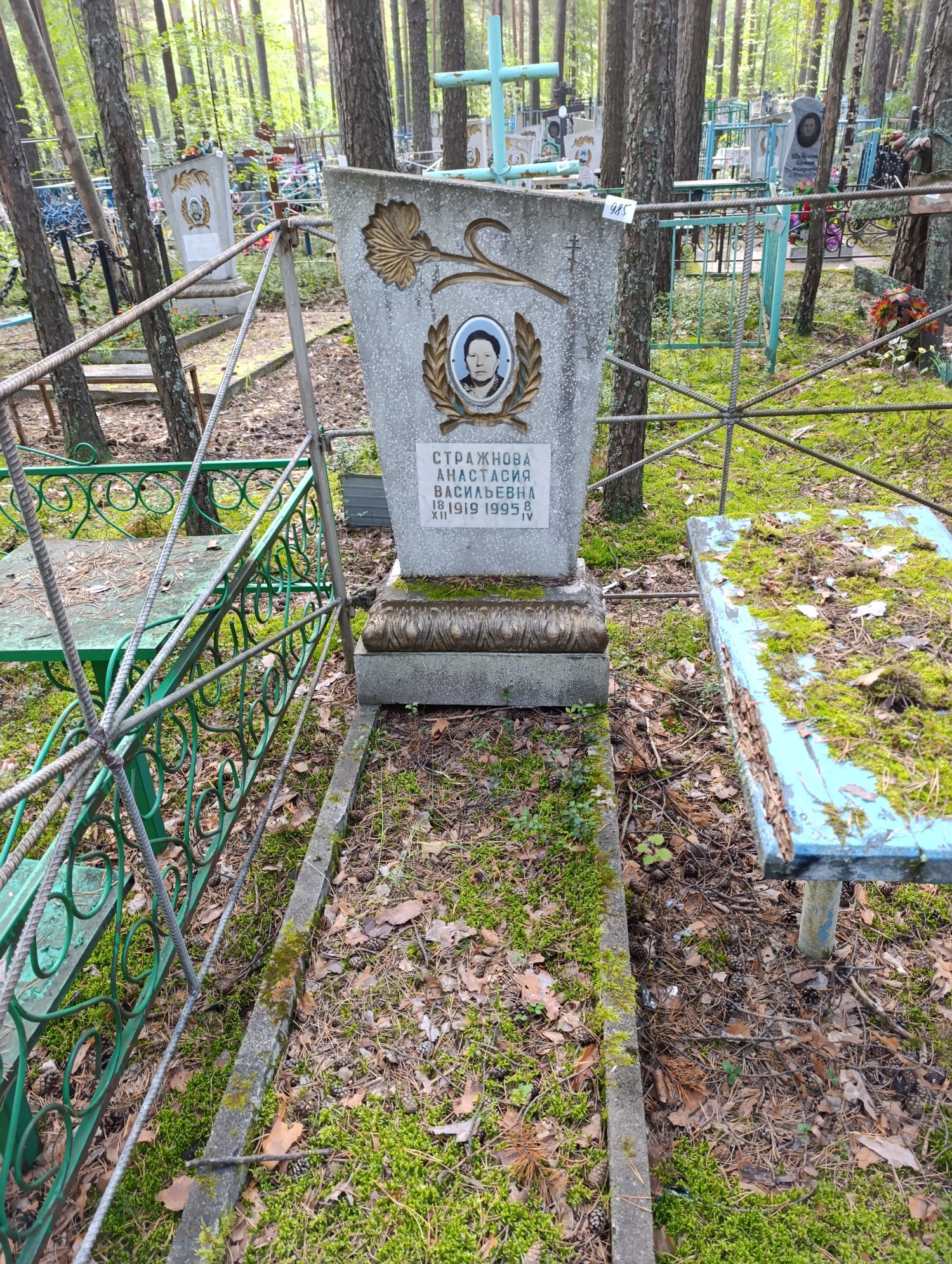 Стражнова Анастасия Васильевна