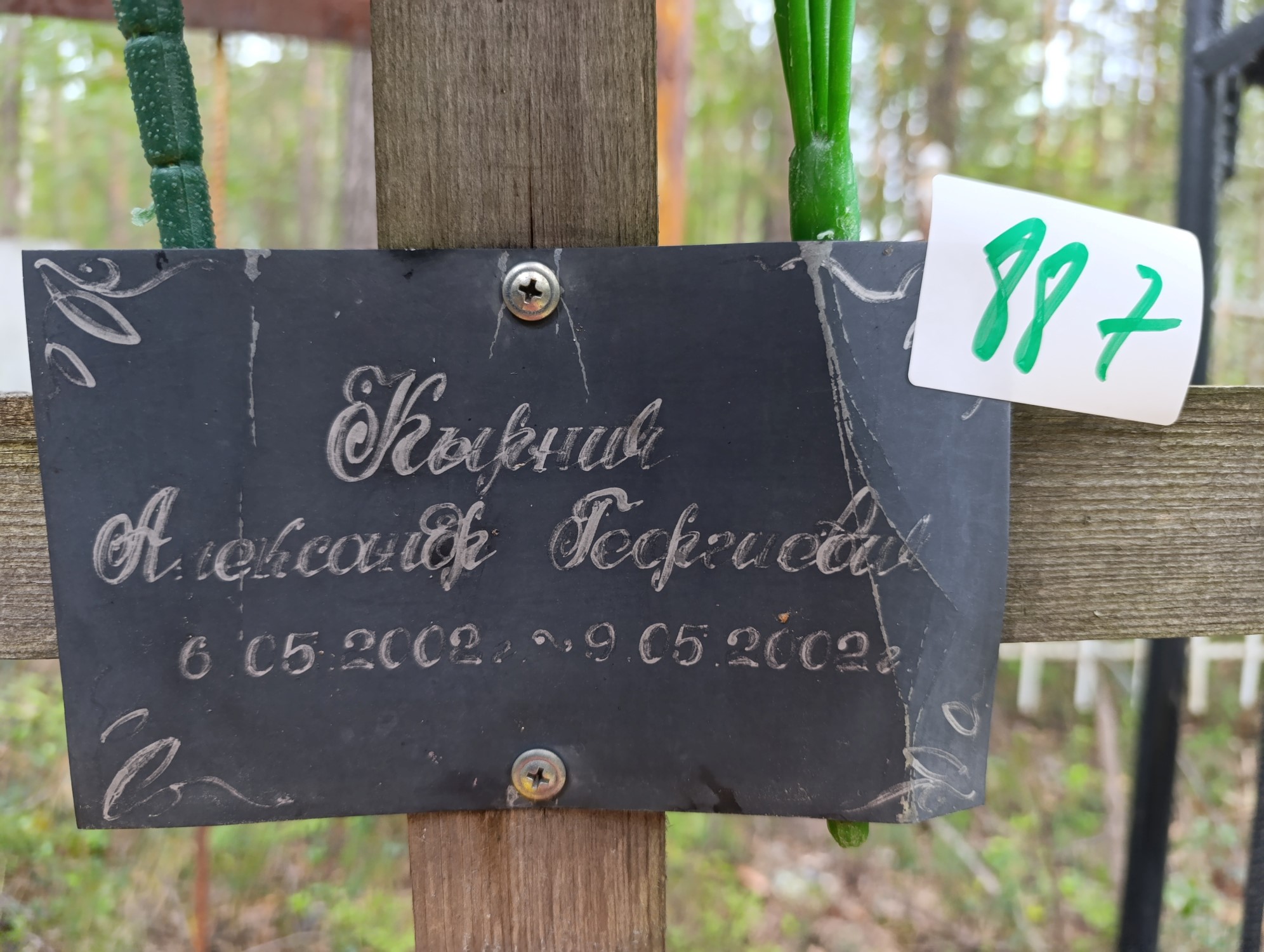 Кырния Александр Георгиевич