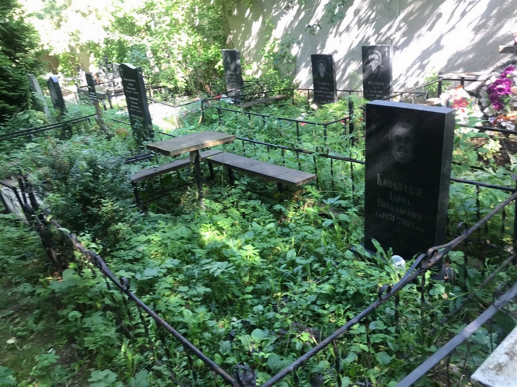 Капанадзе Давид Николаевич