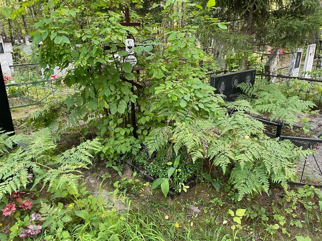 Веденеева Пелагея Петровна