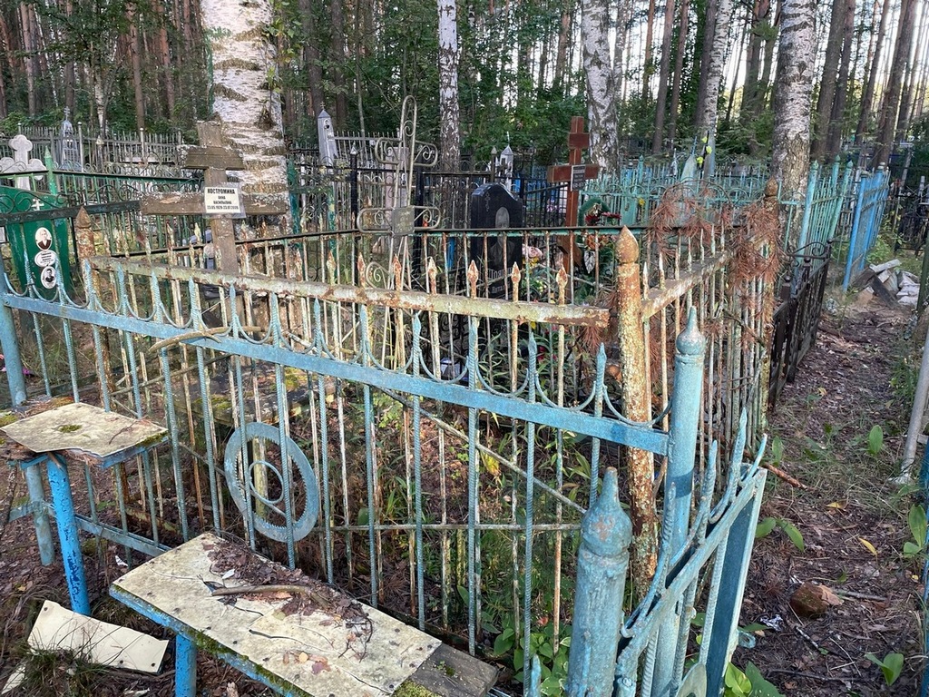 Костромина Анна Васильевна