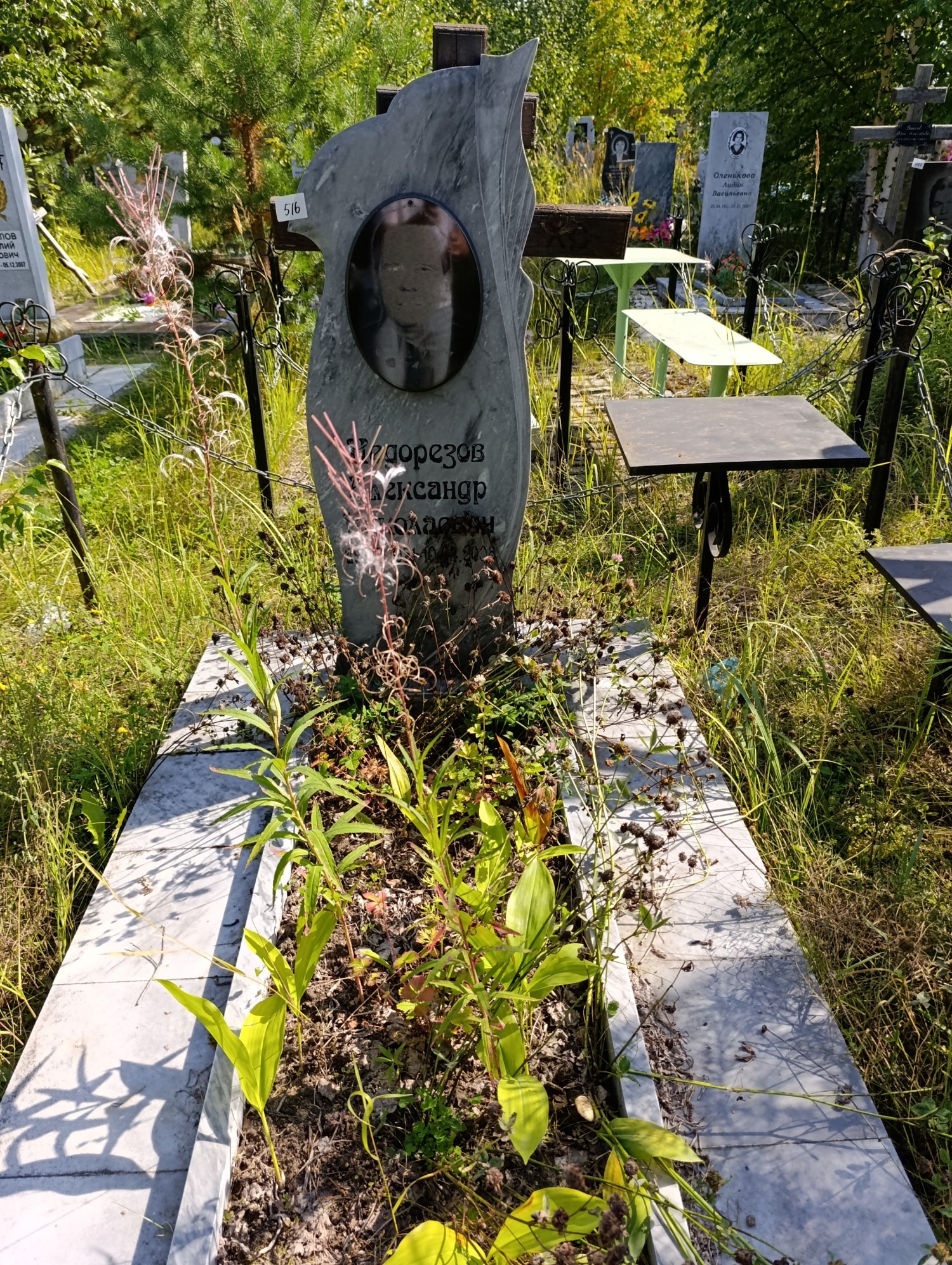 Недорезов Александр Николаевич