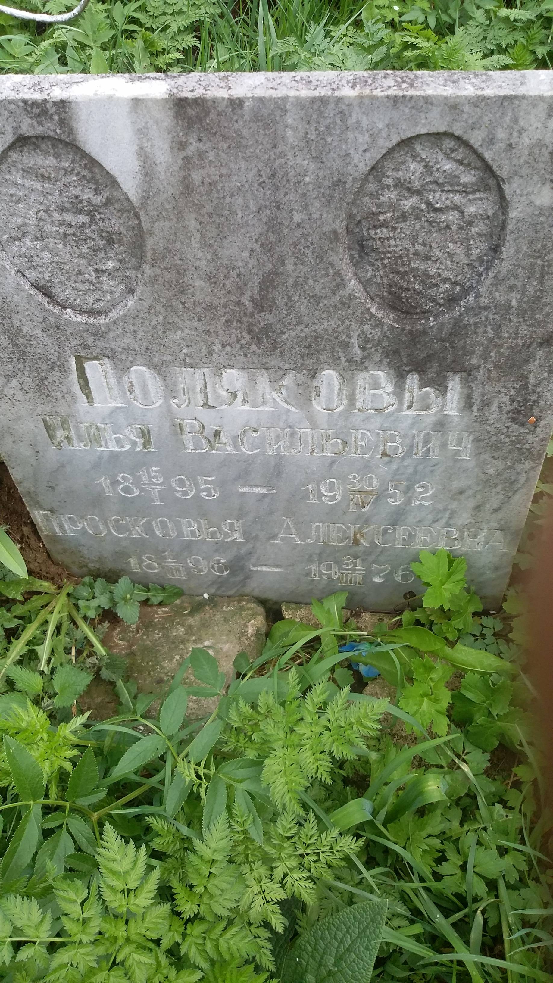 Полякова Прасковья Алексеевна