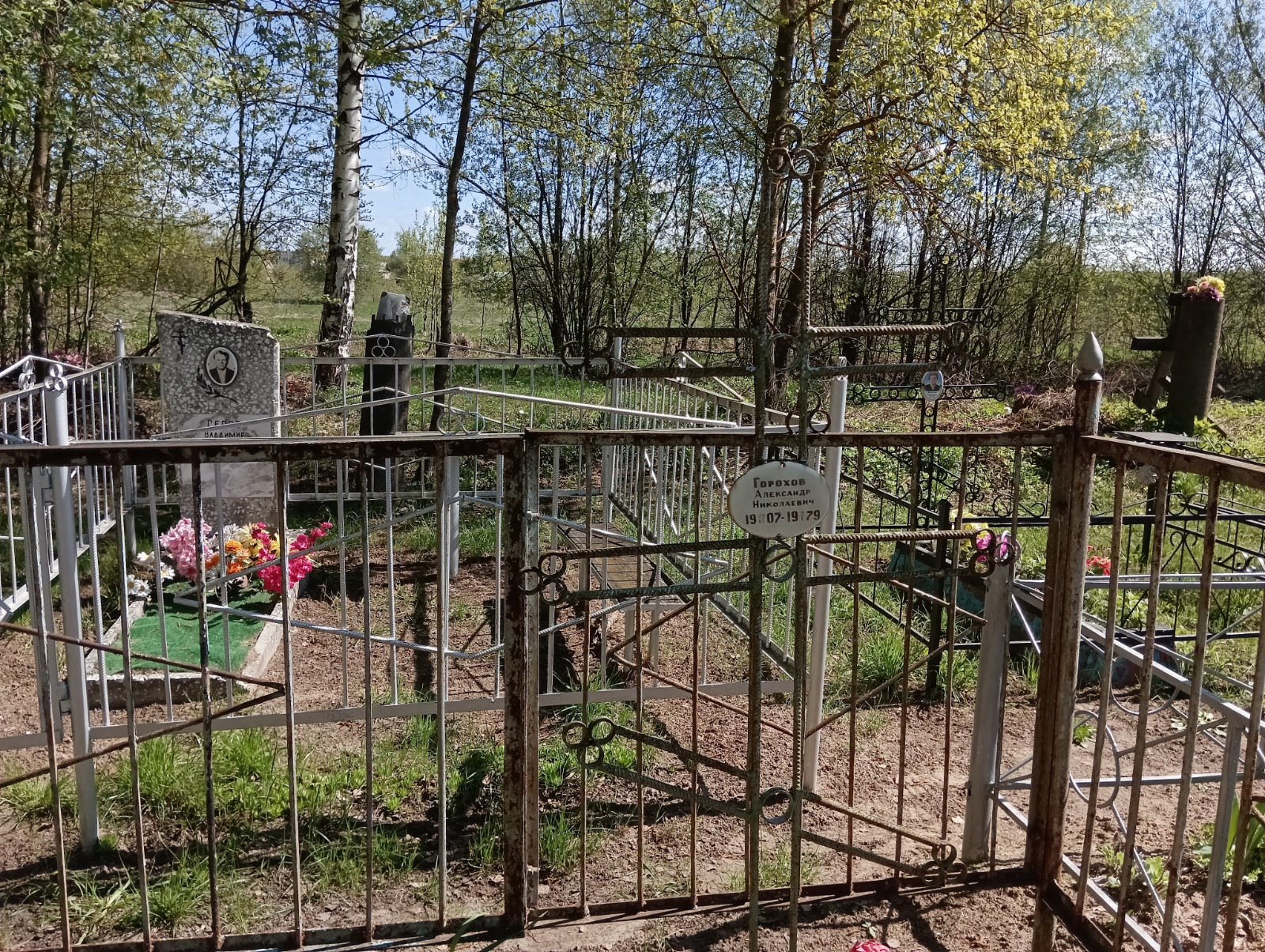 Горохов Александр Николаевич