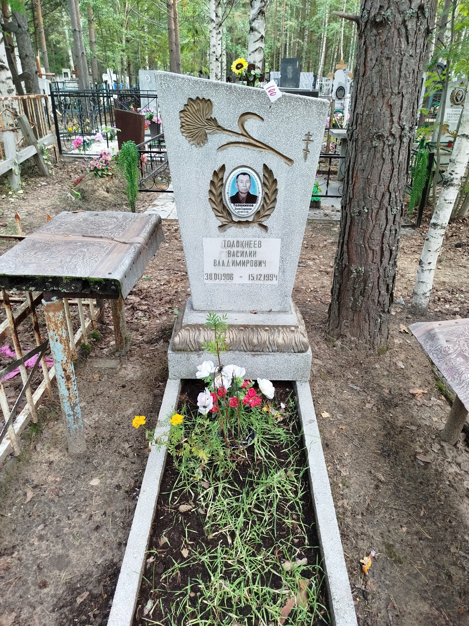 Толокнеев Василий Владимирович