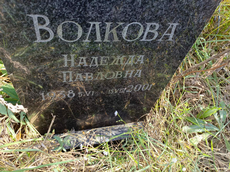 Волкова