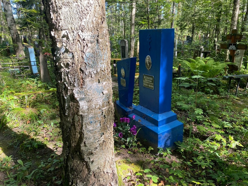 Щекина Анастасия Михайловна