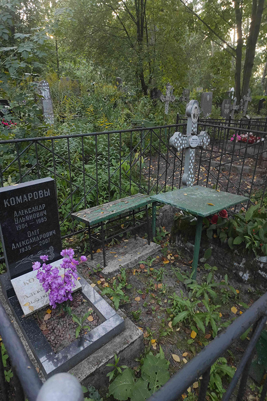 Комаров Олег Александрович