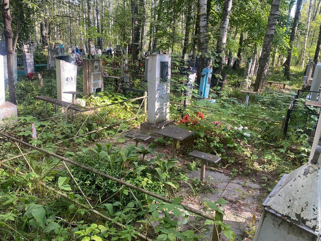 Плеханова Марина Александровна