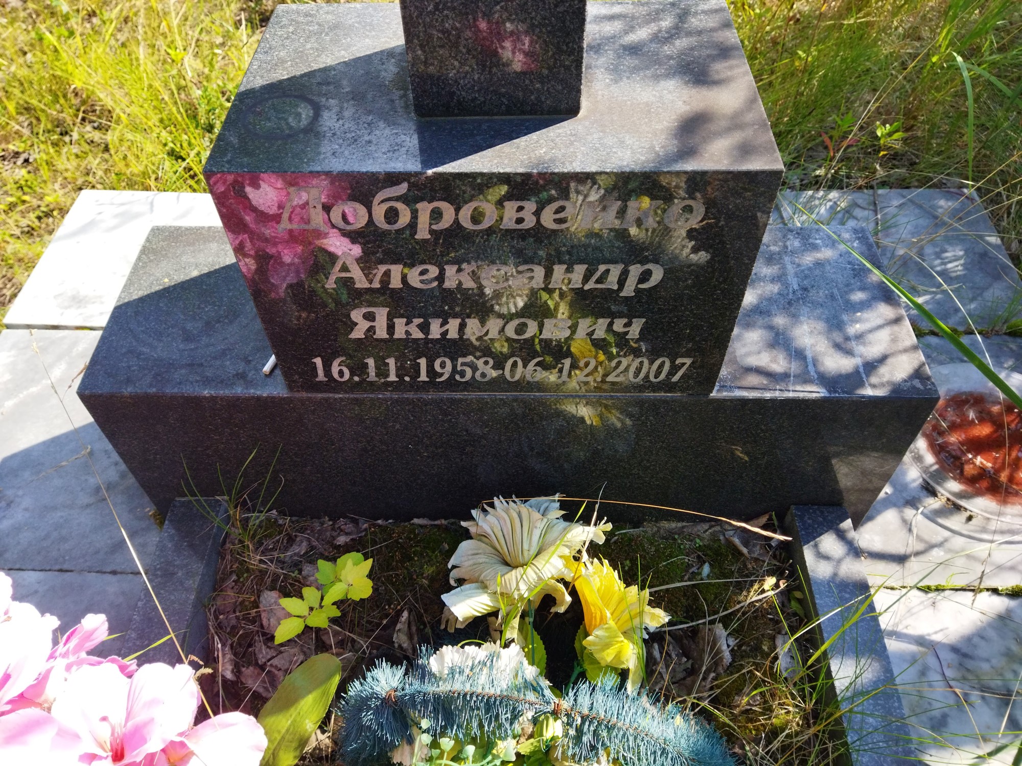 Добровенко Александр Якимович