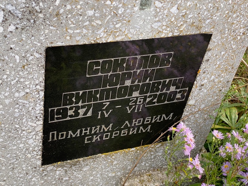 Соколов