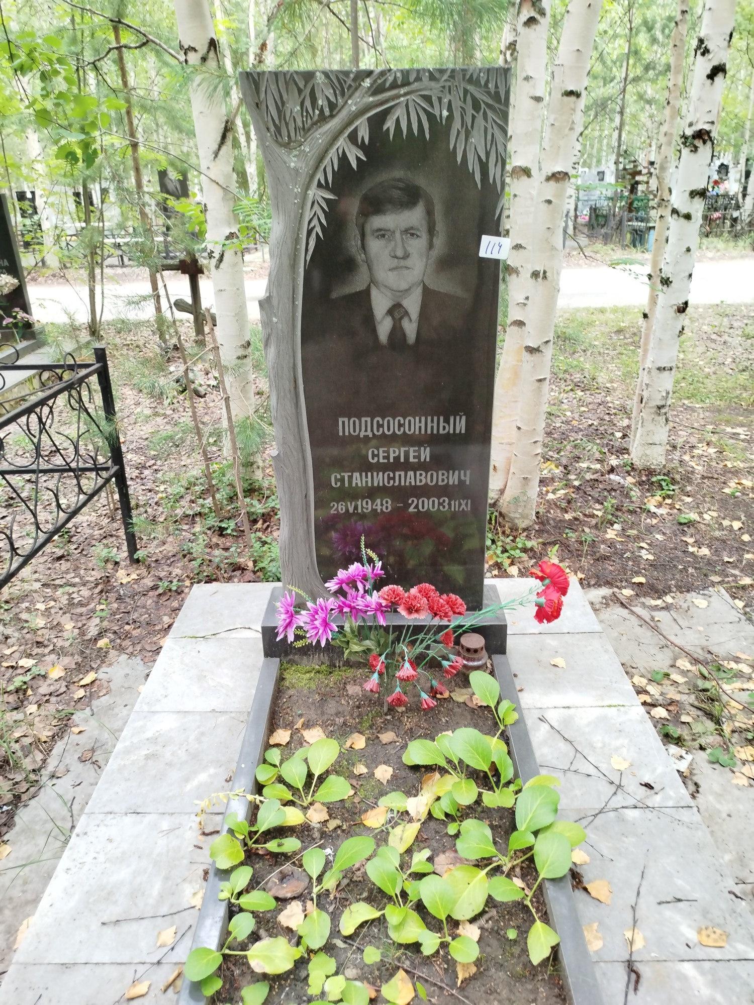 Подсосонный Сергей Станиславович