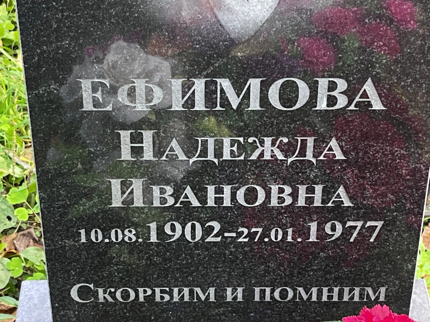 Ефимова