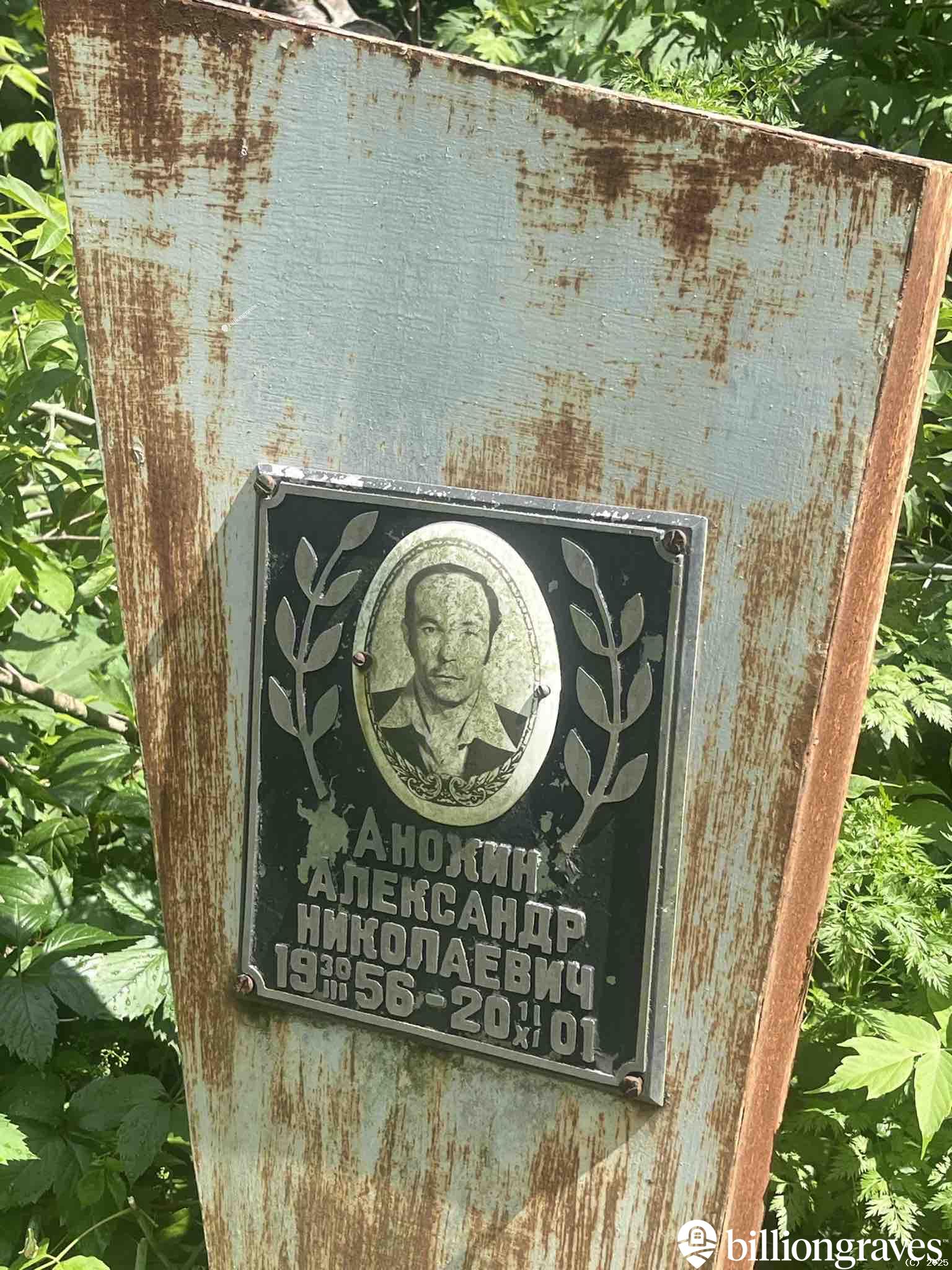 Анохин Александр Николаевич