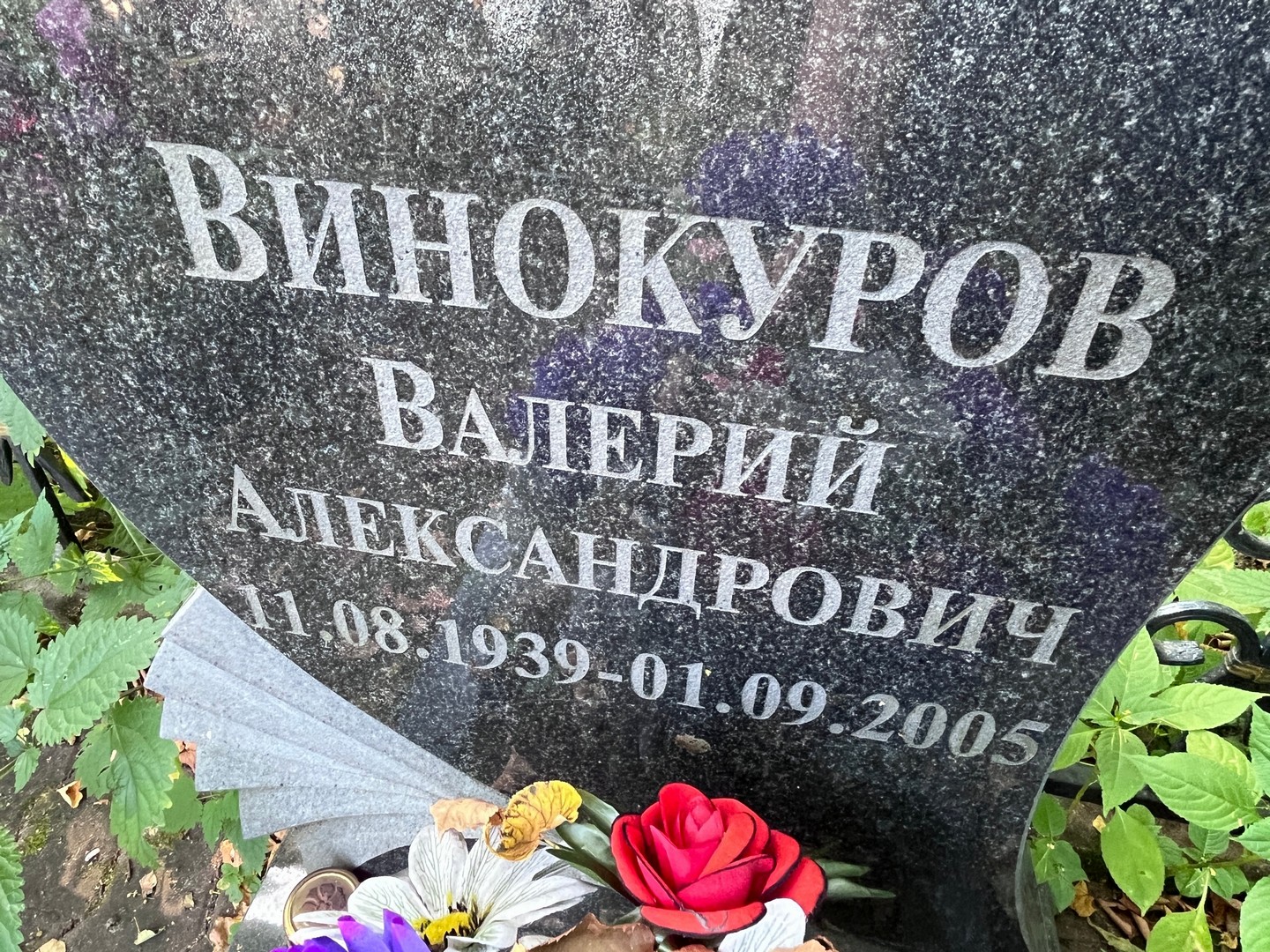 Винокуров
