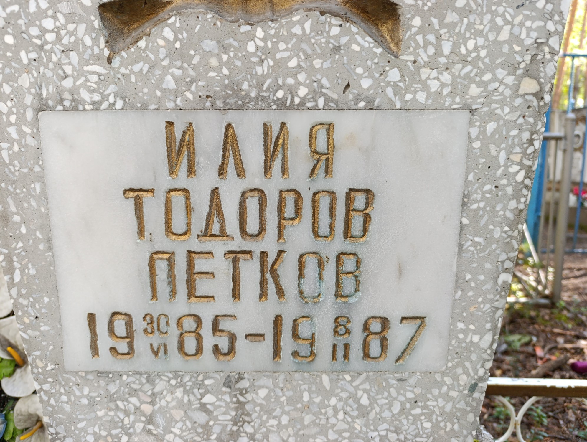 Петков Илия Тодоров