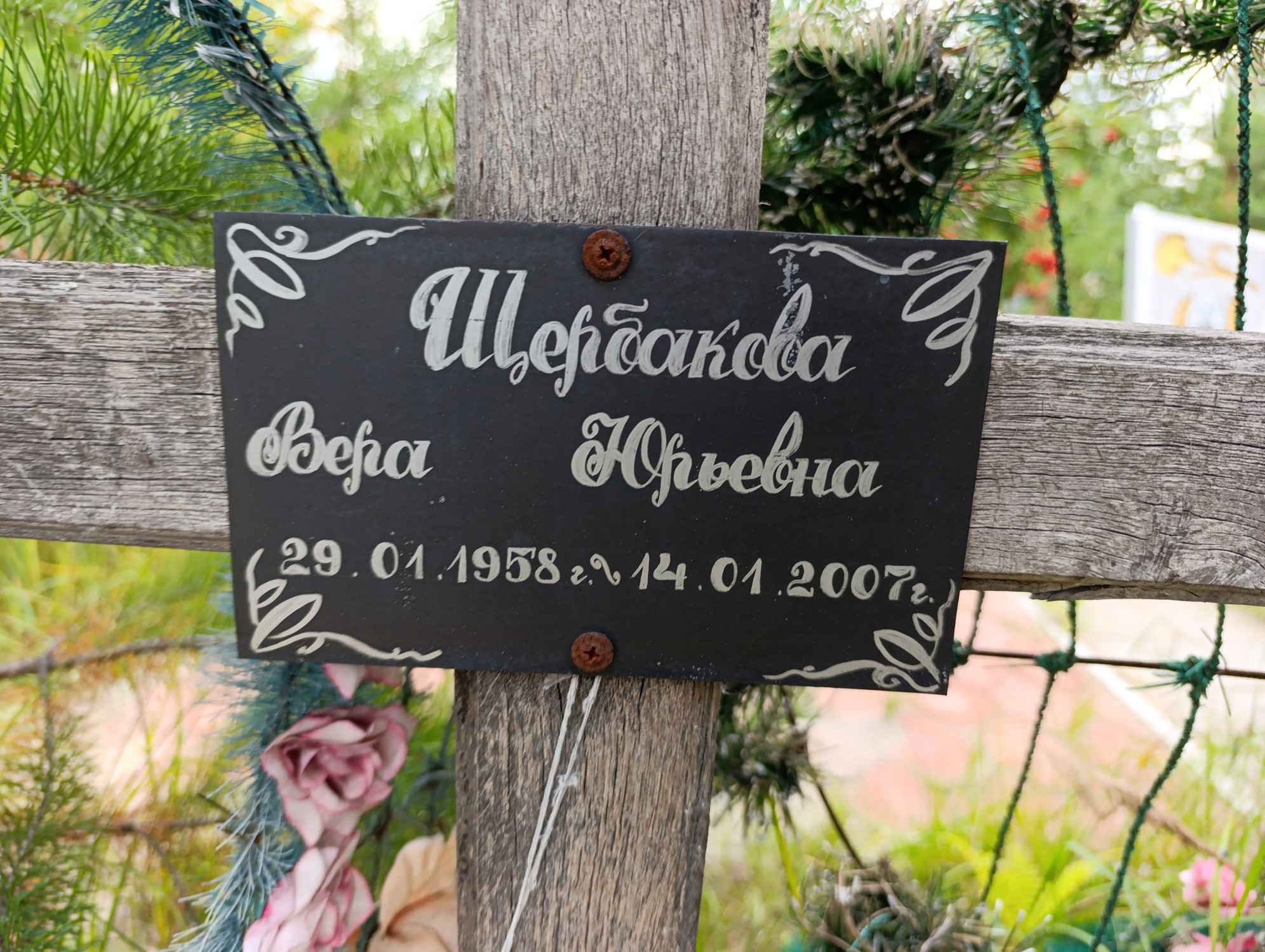 Щербакова Вера Юрьевна