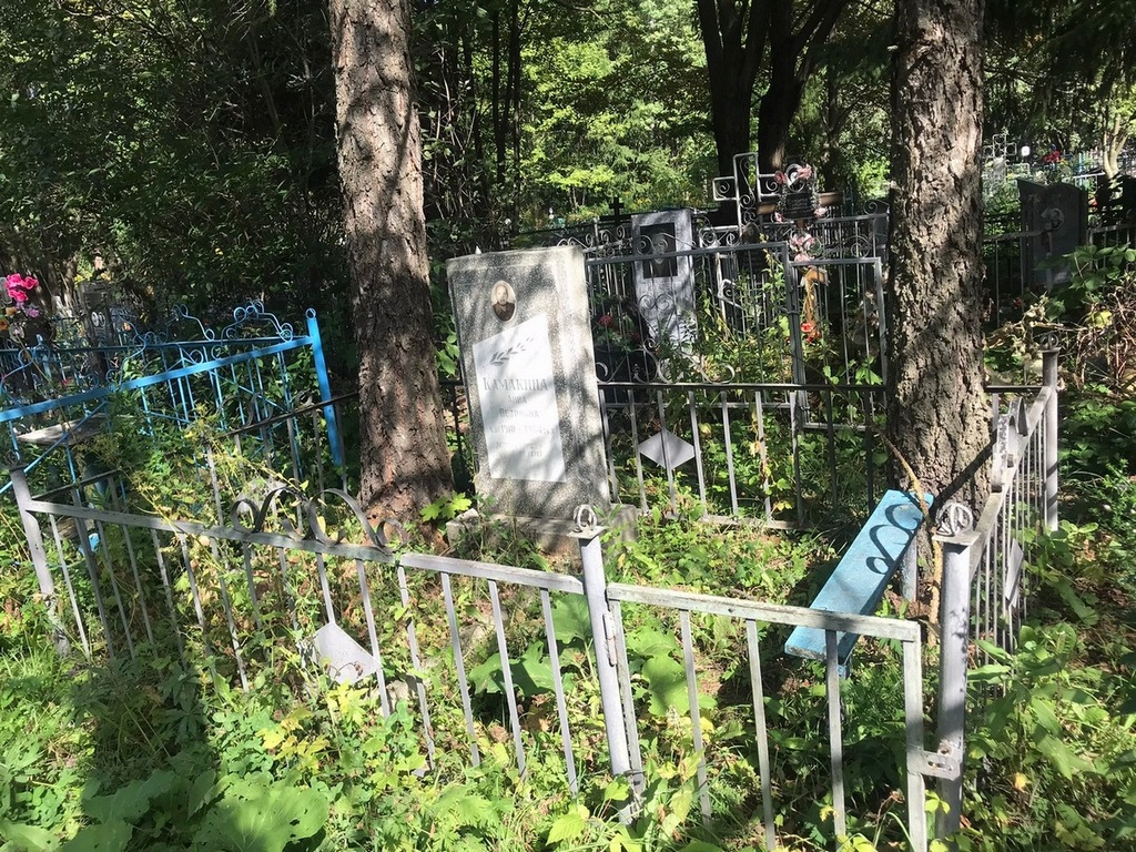 Камакина Анна Петровна
