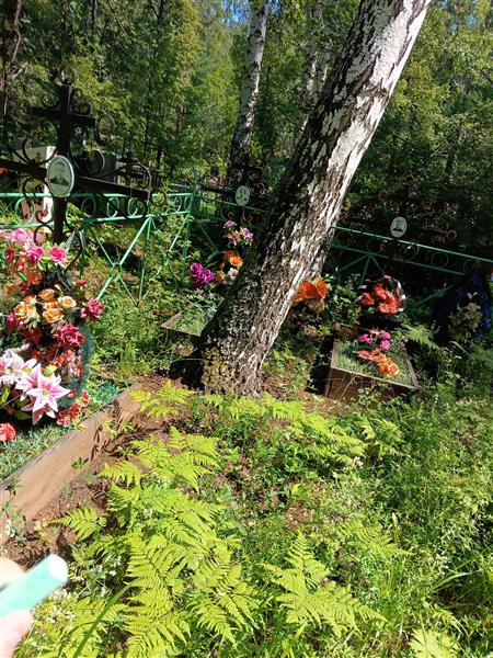 Устюжанинов Александр Васильевич