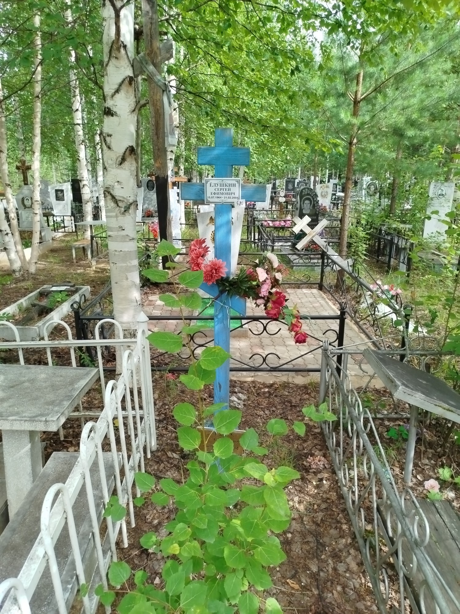 Елушкин Сергей Ефимович