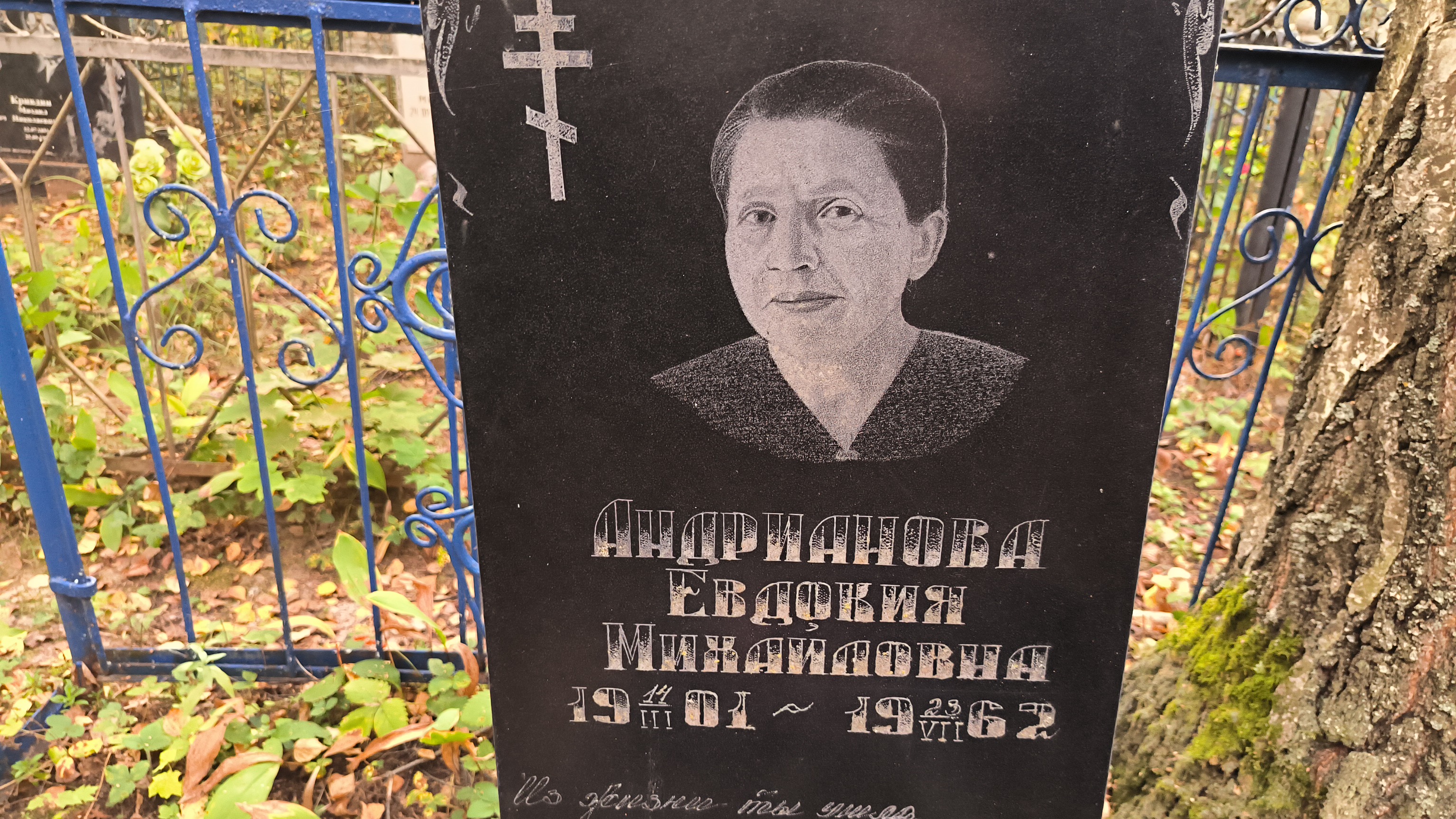 Андрианова Евдокия Михайловна