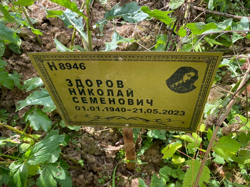 Здоров