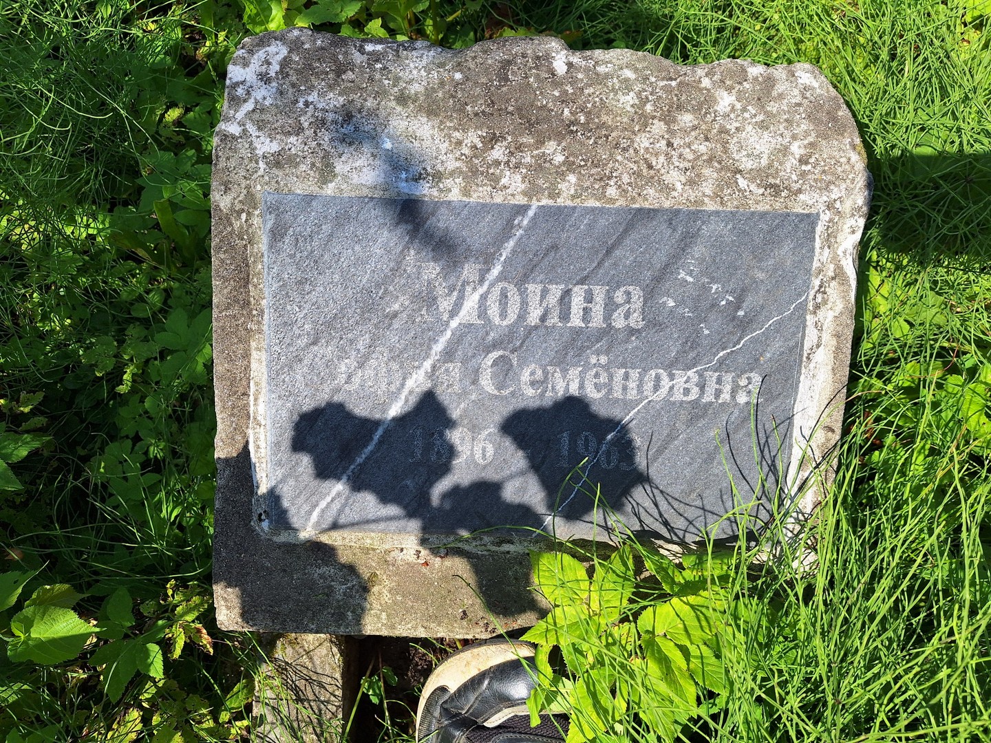 София Моина Семеновна