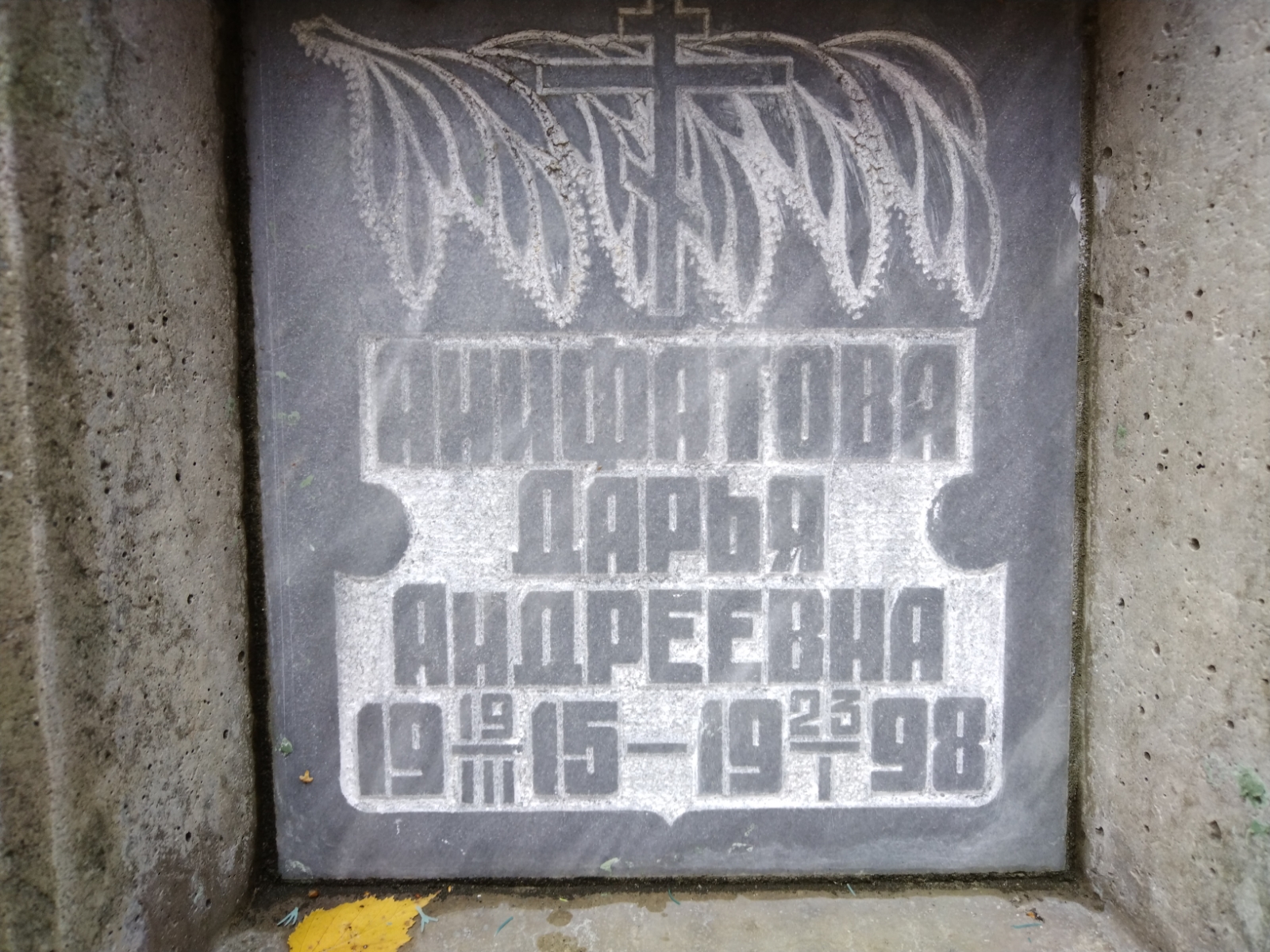 Анифатова Дарья Андреевна