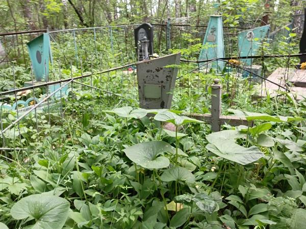 Казанцева Наталья Викторовна