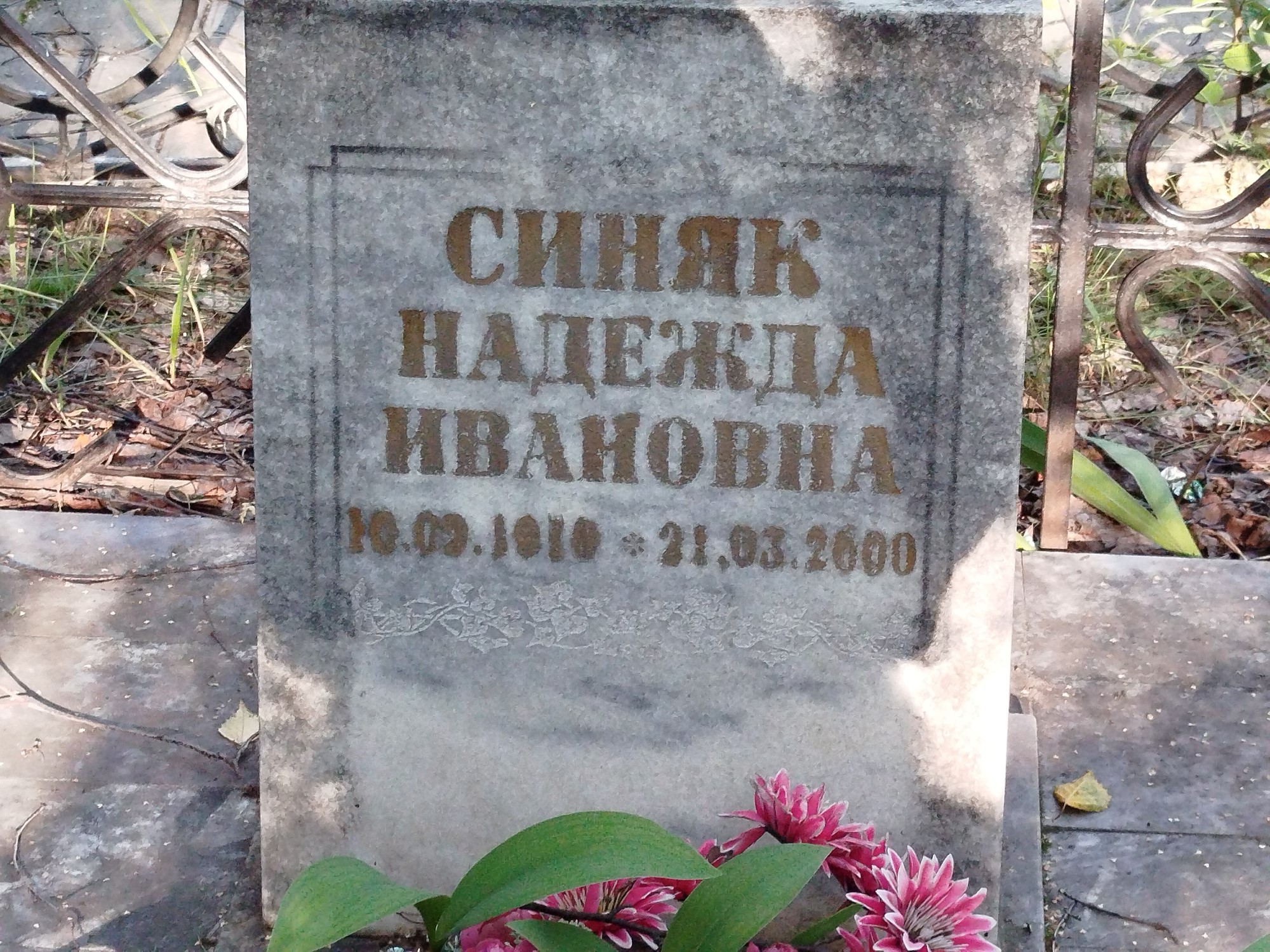 Синяк Надежда Ивановна
