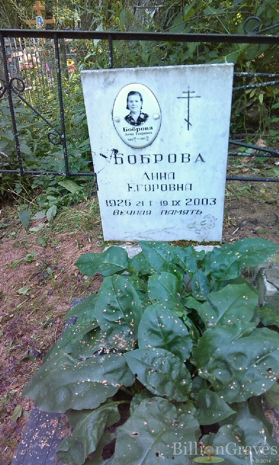 Боброва Анна Егоровна